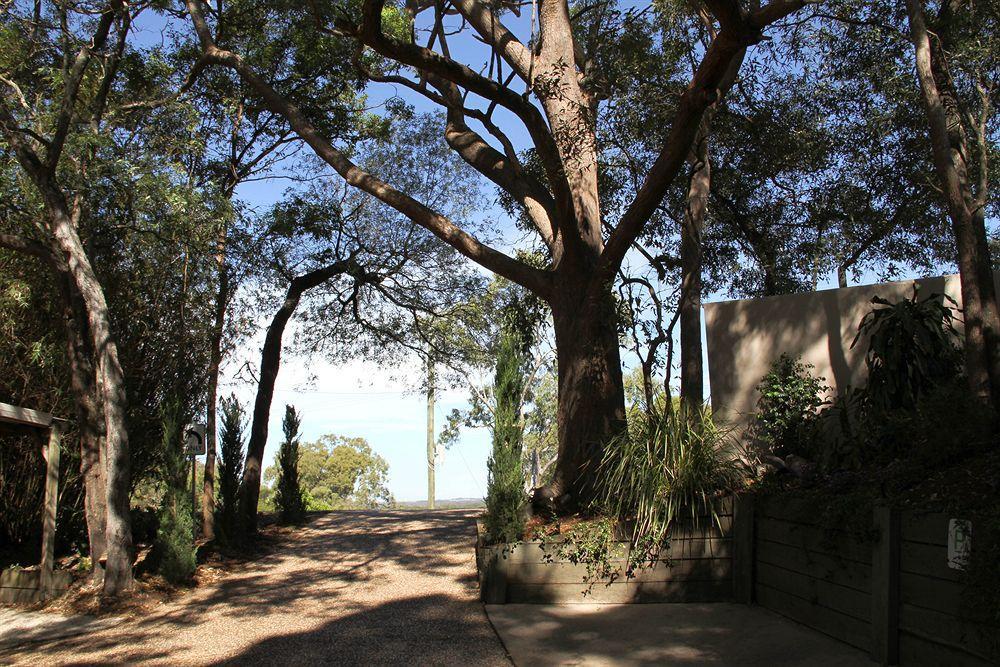 Arabella Guesthouse Alexandra Headland Exterior photo